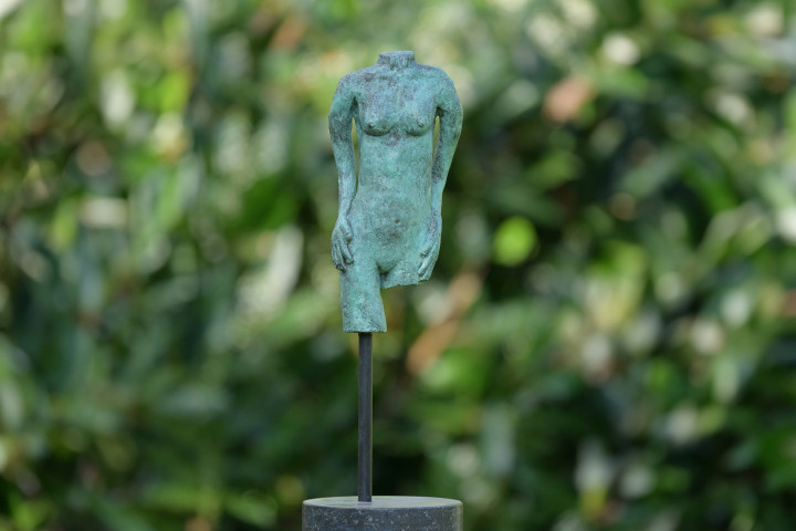 Beeld in brons. Torso
