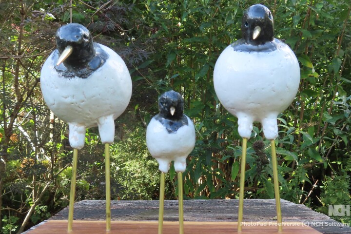 Strandlopers 1