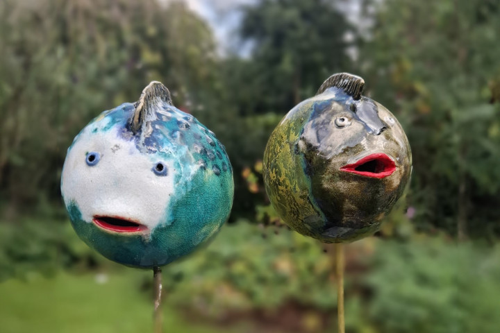 Twee kleine visjes